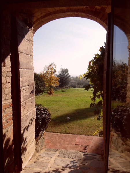 Podere Pievina Delle Corti