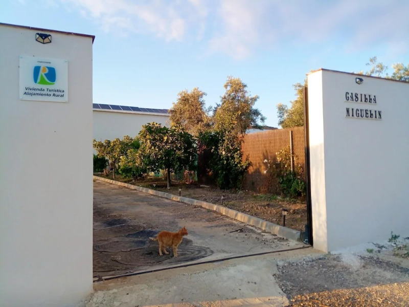 House With 4 Bedrooms in Montilla córdoba, With Wonderful Mountain View, Shared Pool, Enclosed Garden Near the Beach