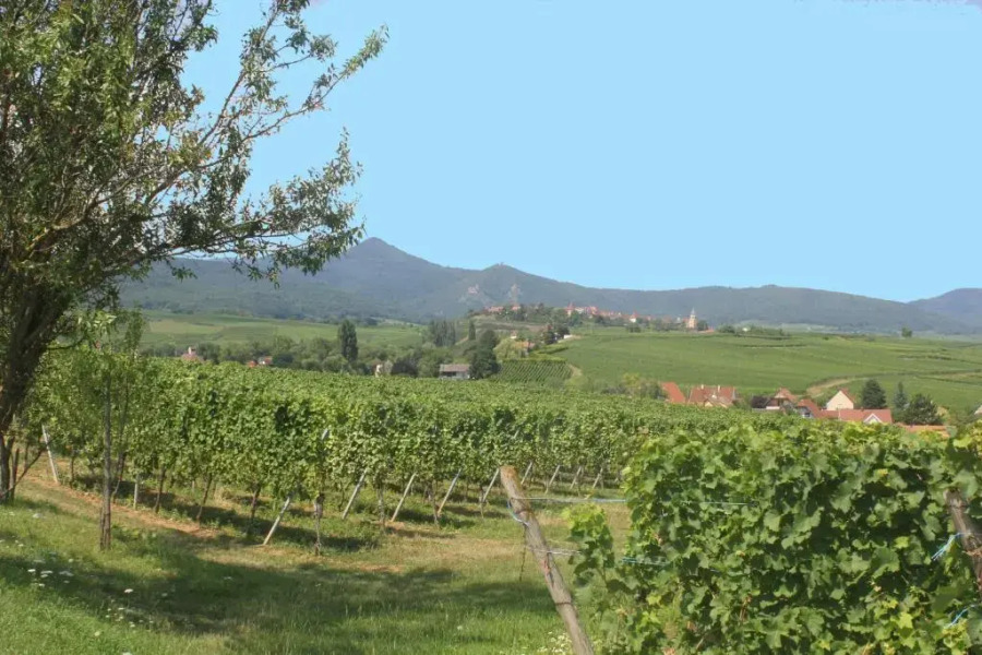 Gite des 5 cigognes rouge