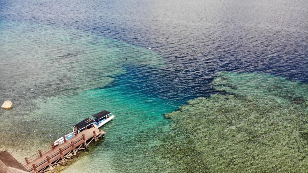 Made Taro - Menjangan Homestay