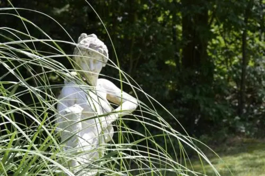 Chateau De Chicamour