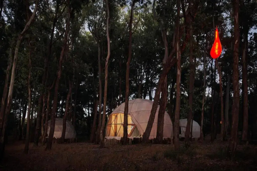 Big Bang Nature Stays