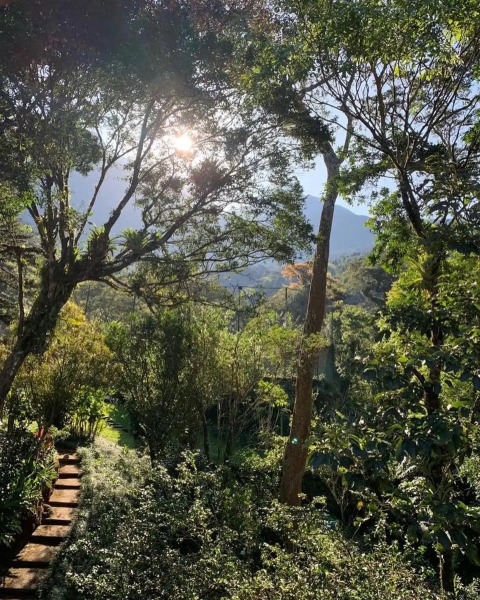 Sítio com piscina e lareira