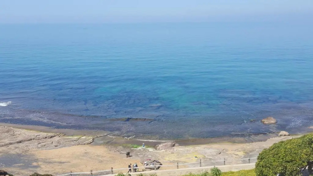 Appartamento Bouganville