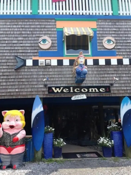 The Blue Water House