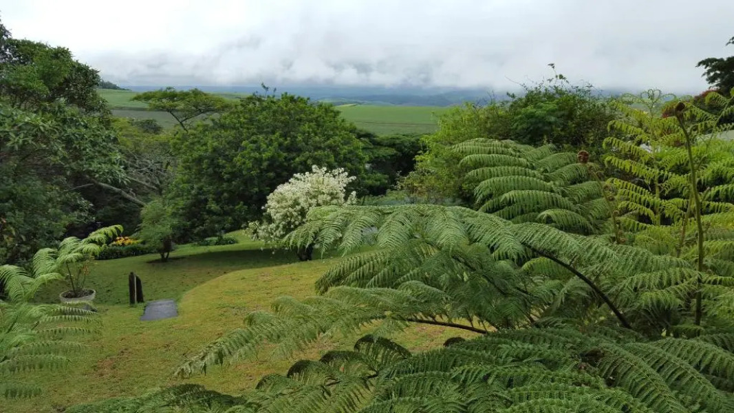 African Dwarf Kingfisher Guesthouse