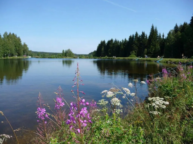 Ferienwohnung-Wasserfloh