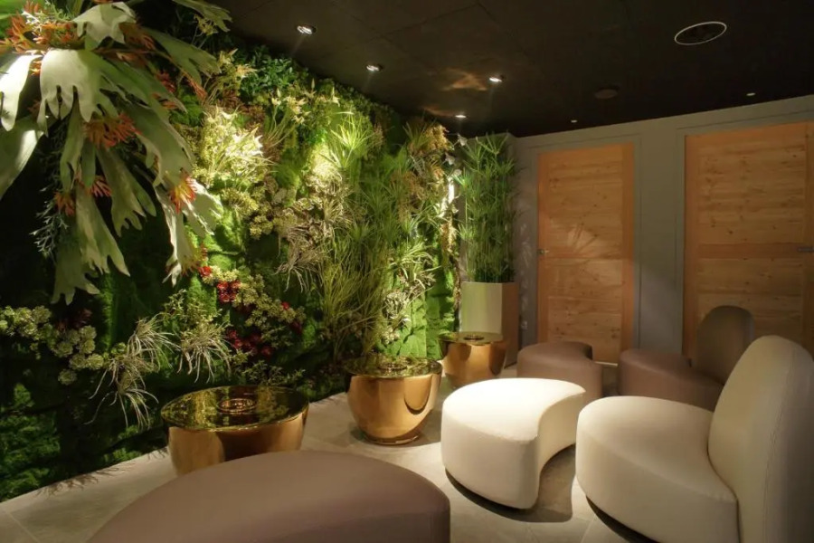 Hotel & Spa L'Alta Peyra