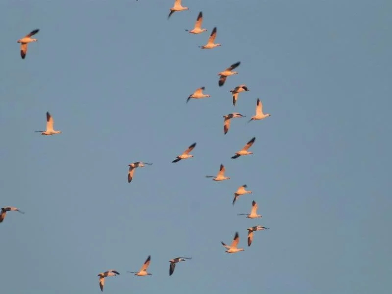 Vieille ï¿½cole du Rang 3