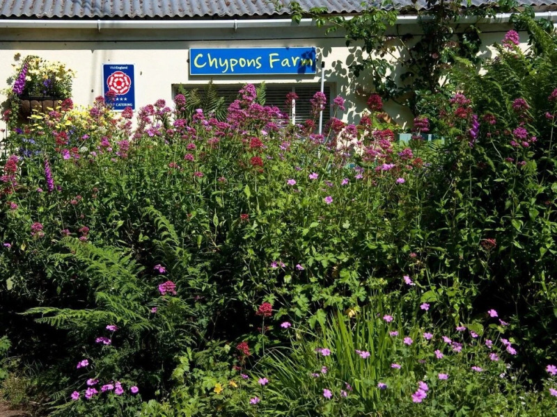 St Ives BnB at Chypons Farm