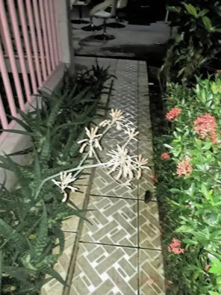 Sunset Inn Valle del Volcan