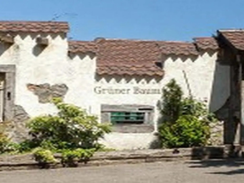 Landgasthaus Grüner Baum