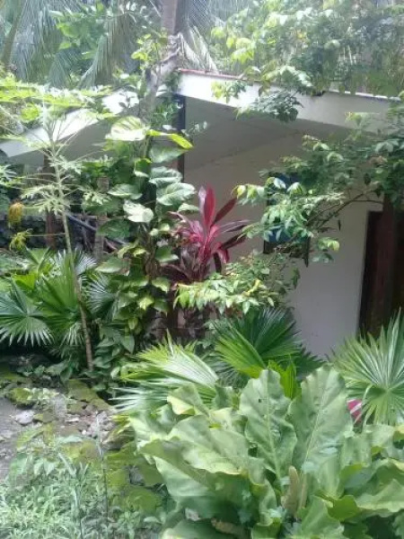 Hotel Finca Santo Domingo