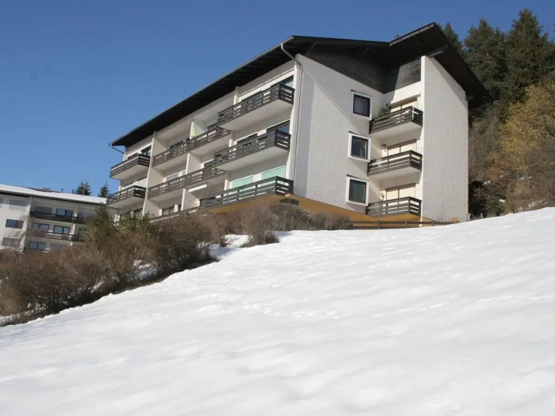 Apartment on the Milstättersee With Swimming Pool in the Summer