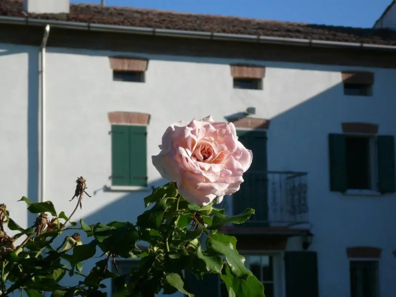 Agriturismo Corte Bertoia