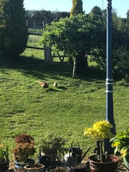 UPSIDE DOWN HOUSE At Fairview Farm in NOTTINGHAM set in 88 acres