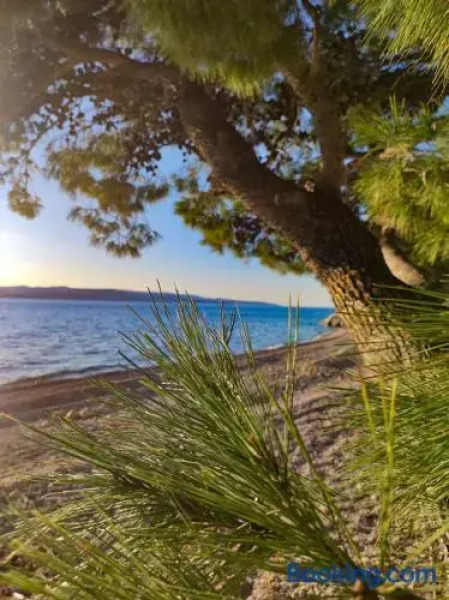 Family friendly apartment, great for children, huge yard and lots of toys