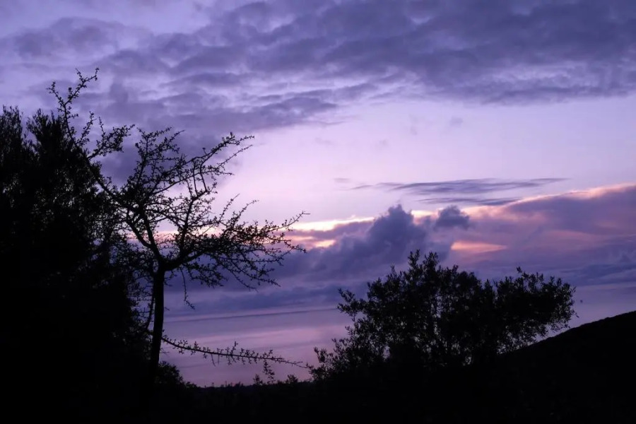 Ladanos Apartment Thassos