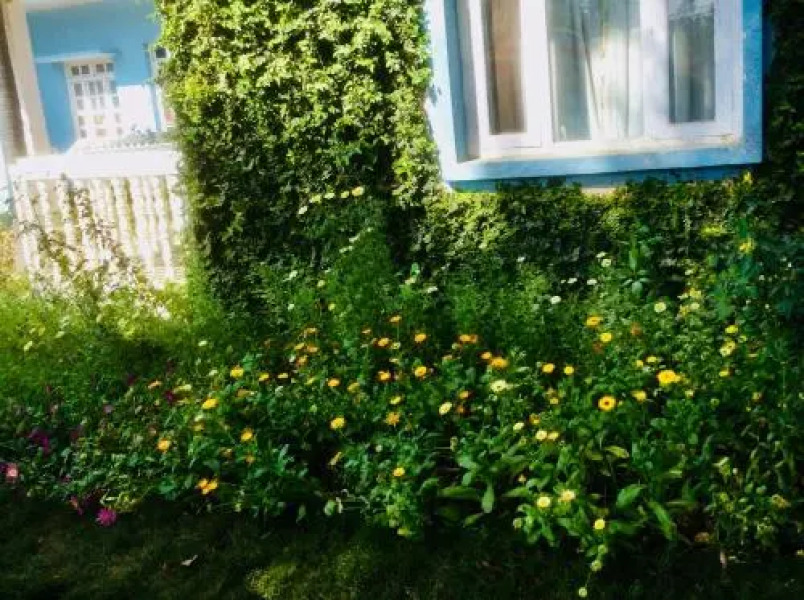 Hotel Megha Travellers Village