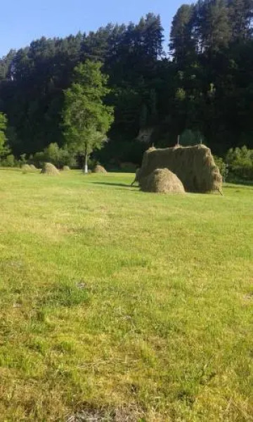 Landhaus Bed&Breakfast