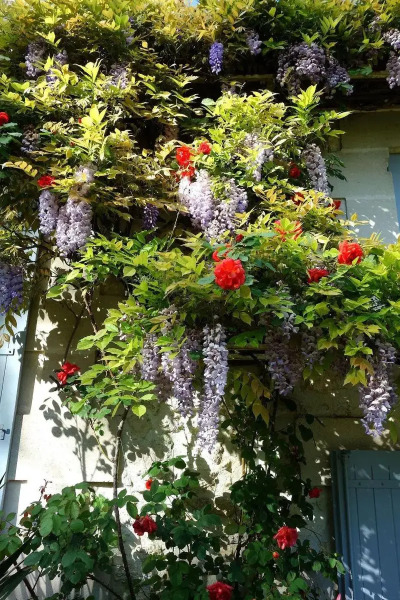 Les Jardins De Camelot