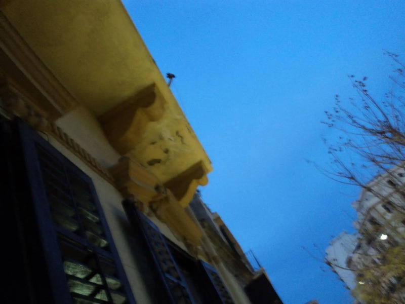 巴拉红姆酒店(Ballarhome)