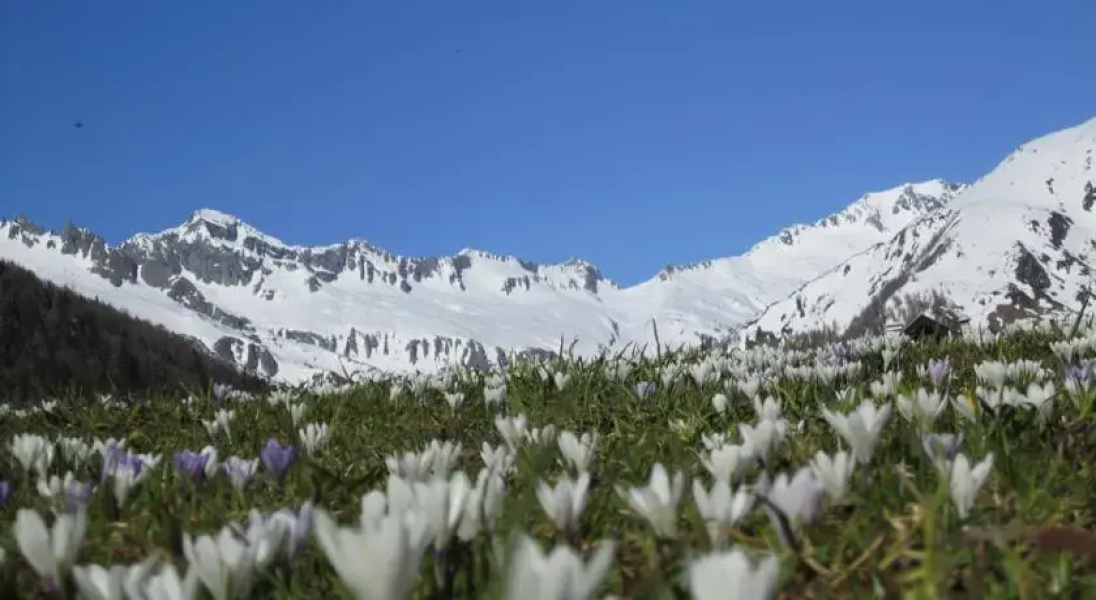 Biohof Krahbichl