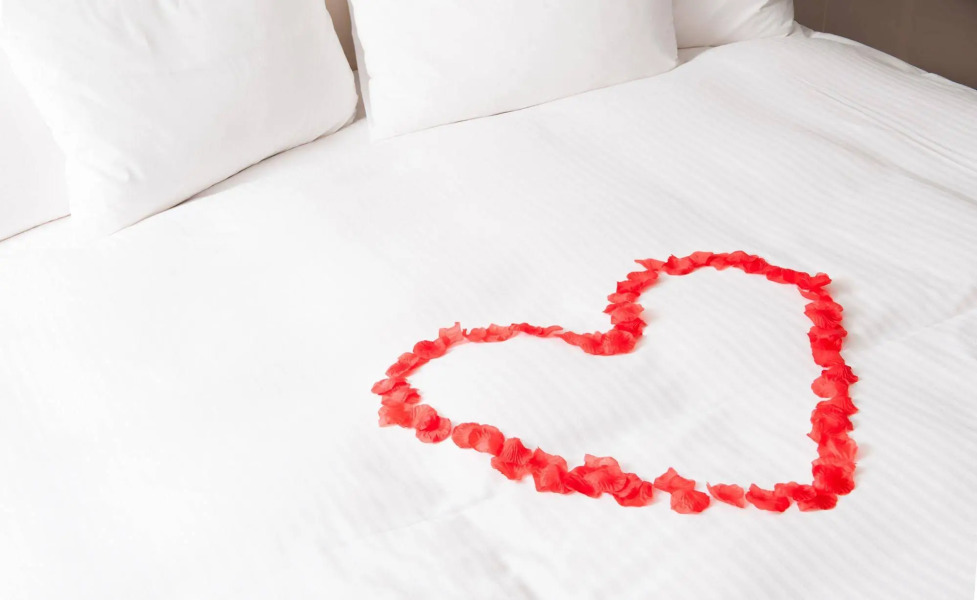 San Jose Safehouse Suites