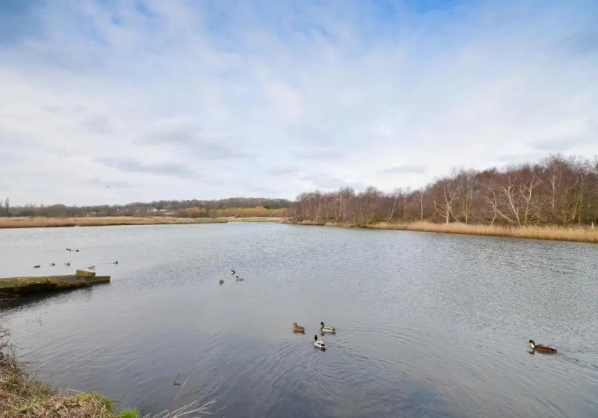 The Hideaway, 65 Salterns Beach Bungalows, Seaview