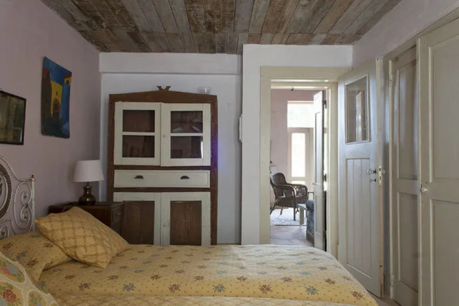 Uva do Monte - Blueberry Farm