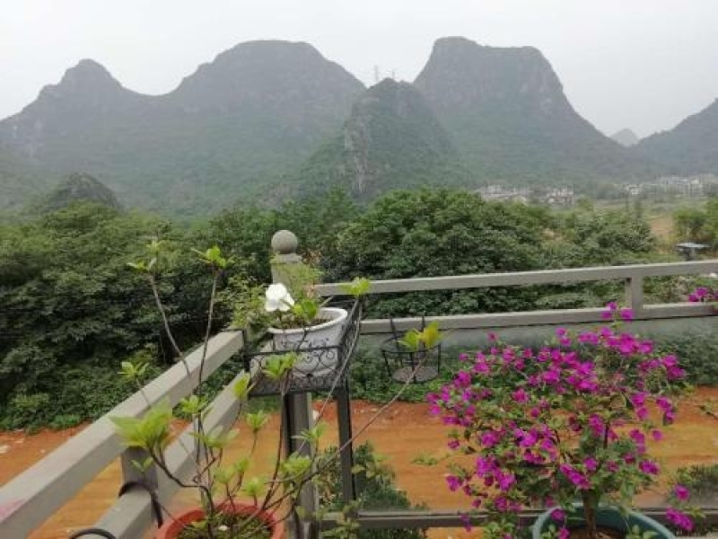 The Moon Flower Hotel