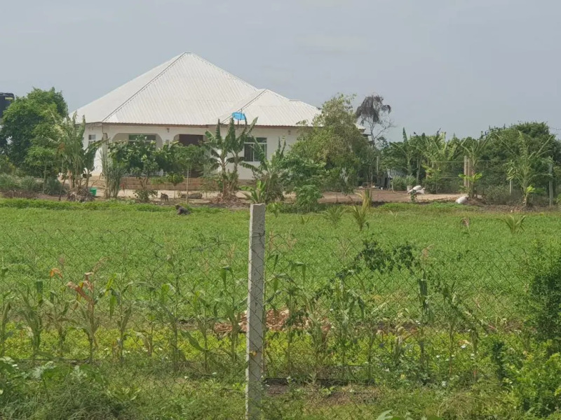 Paje Farm House
