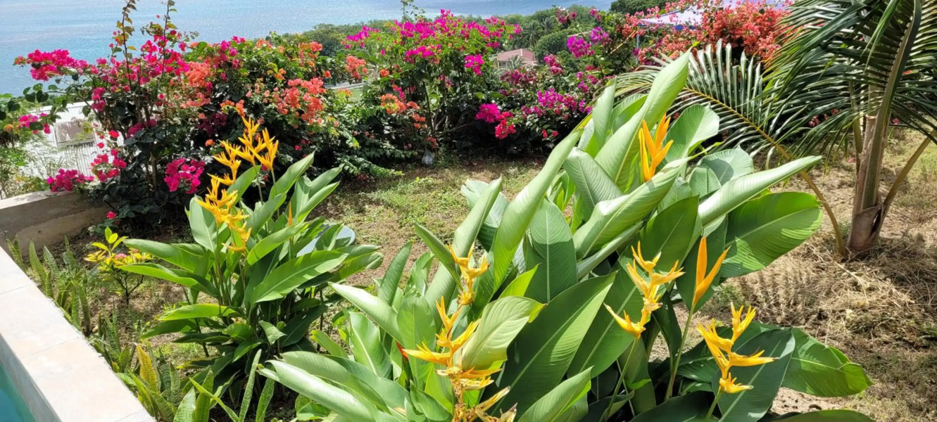 Villa Independante Magnifique Vue Mer Des Caraibes