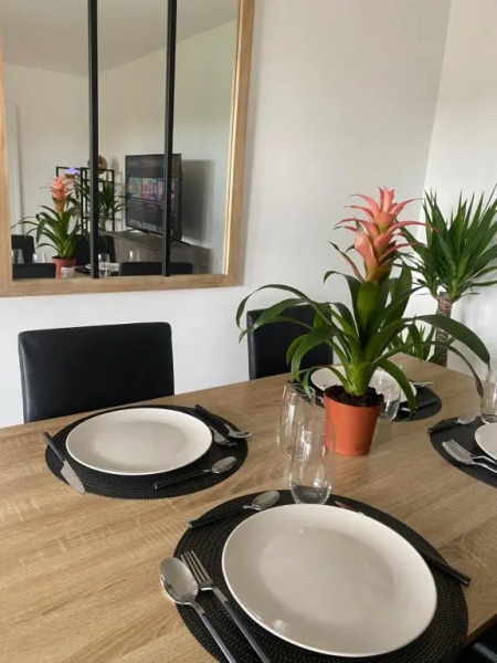 Bel Appartement 59m2 terrasse / wifi / netflix