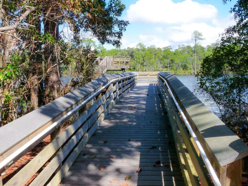 Southern Charm by RedAwning