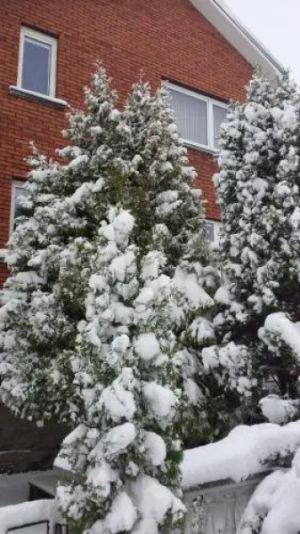 Guest House Lakštingala