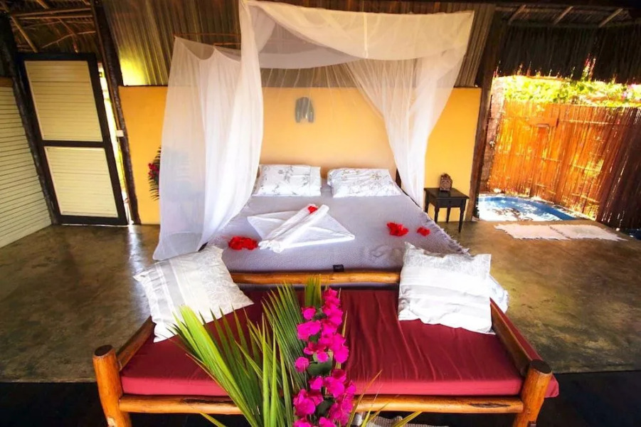 Art Jungle Eco Lodge