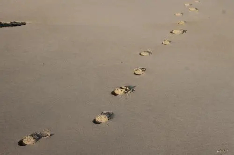 Natura Maris Dunas Residence