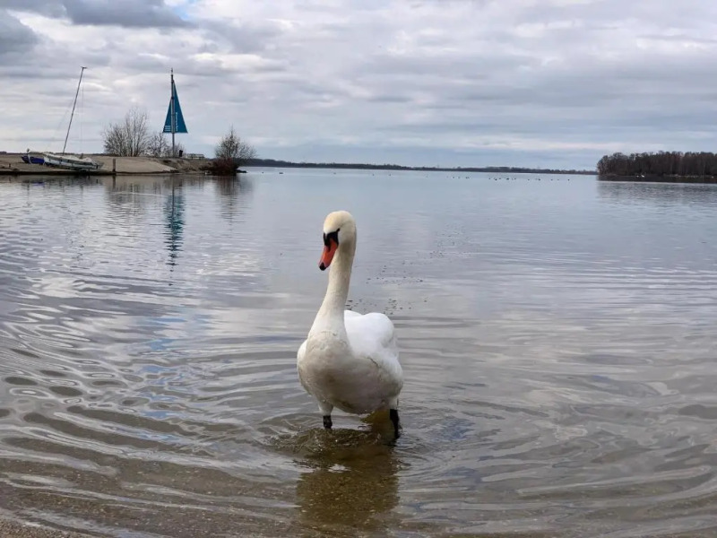 BadHoophuizen 6-per Bungalow Veluwemeer Trampoline