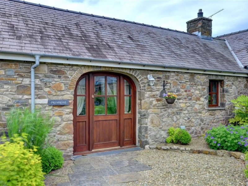 Palmerston Primrose 20794