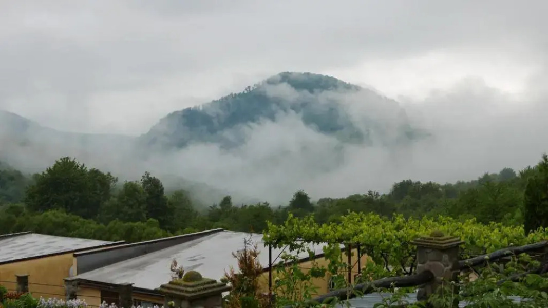 West Wood ApartHotel