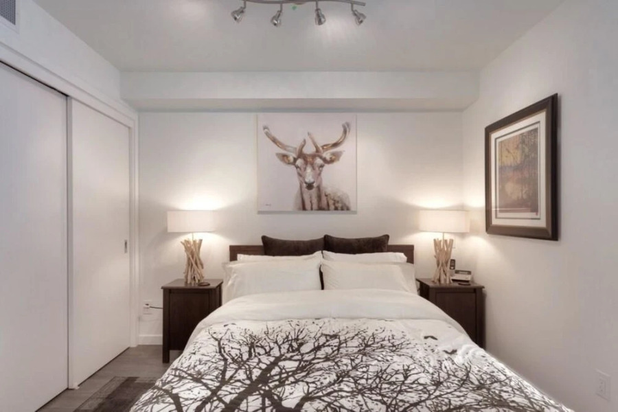 Cedar Suite at the Union Apartment