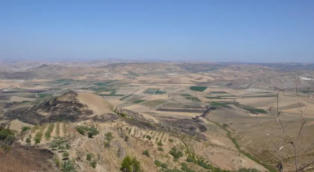 Tenuta Bartoli Maison de Charme