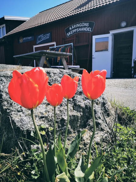 Hotell Käringön