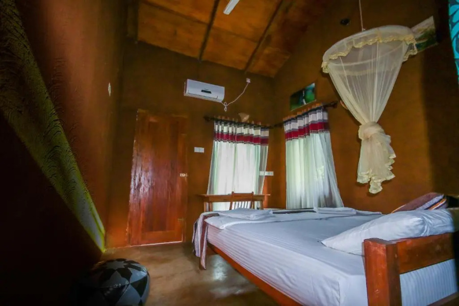 Thick forest sigiriya