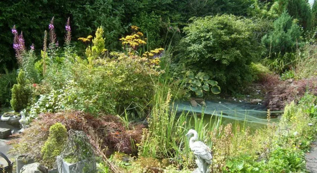 The Roxburghe Guest House