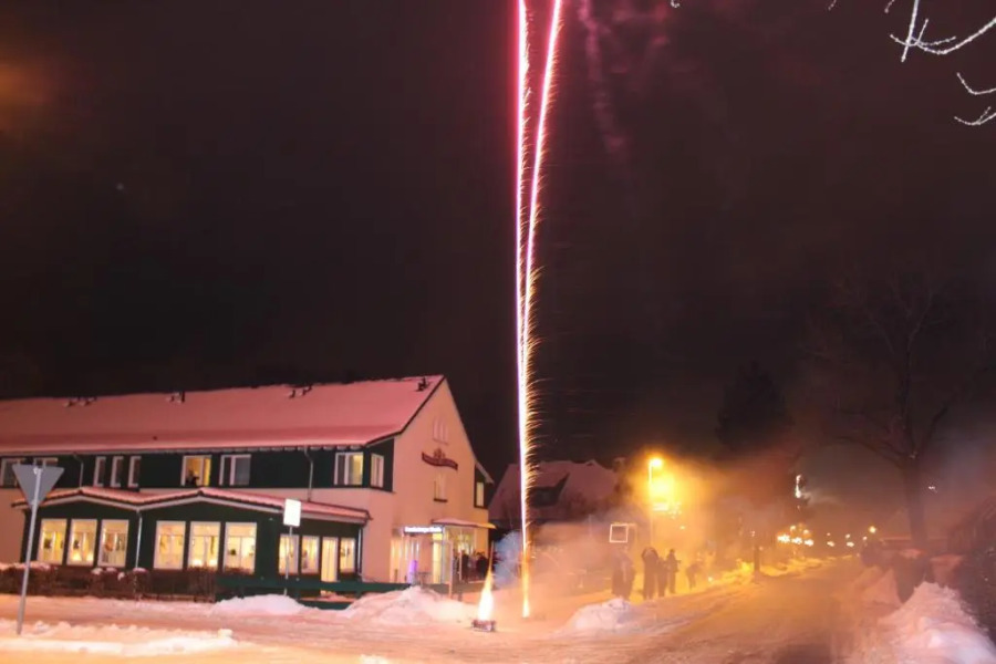 Spreewaldhotel Seerose