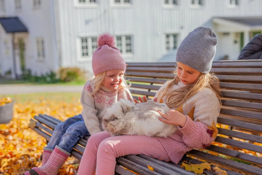 Piltingsrud Gardshotel