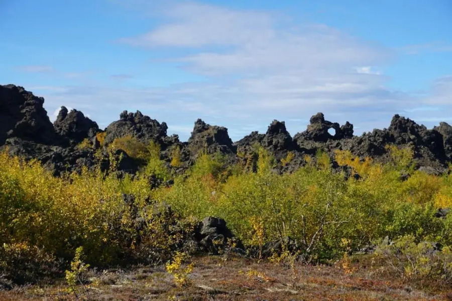 Slow Travel Mývatn - Óli's Homestay-Private house v