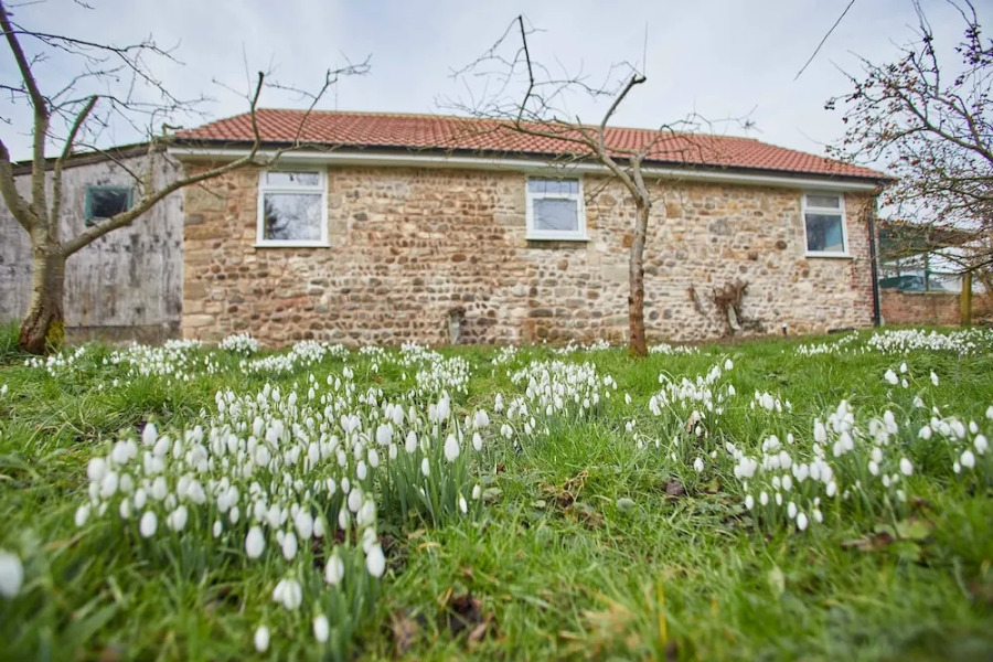Snowdrop Cottage